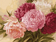 Картина по номерам 40х50 Оттенки розового (26 цветов)