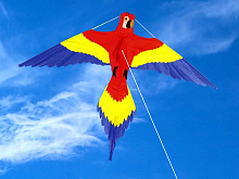Воздушный змей «Попугай Ара 154х122»